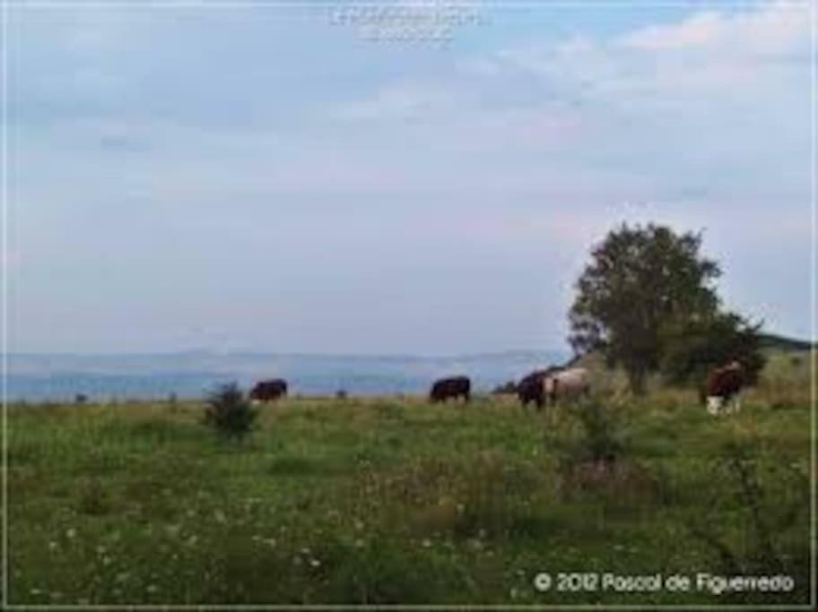 Willa La Ferme Des Pierrettes Menneville Zewnętrze zdjęcie